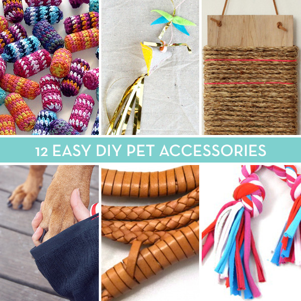 Pet toys, scratchers, and leashes.