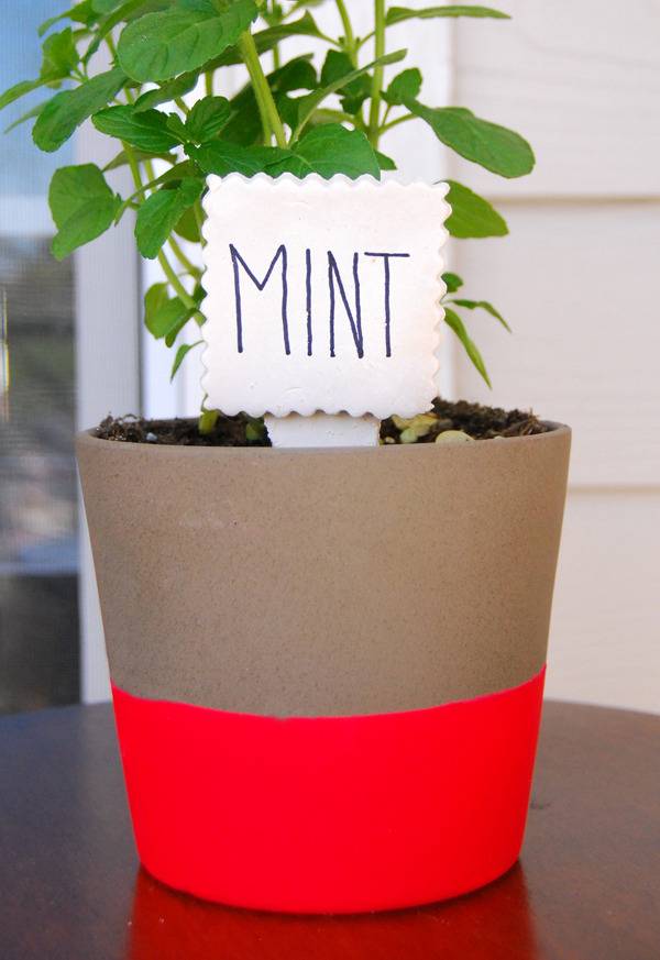 A potted mint plant has a prominently displayed plant name tag.