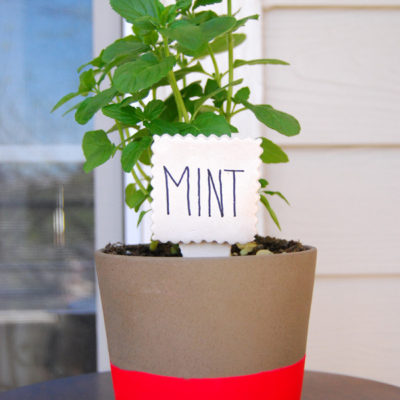 A plant pot contains a mint plant and a large sign with the plant name is in and over the potting soil.