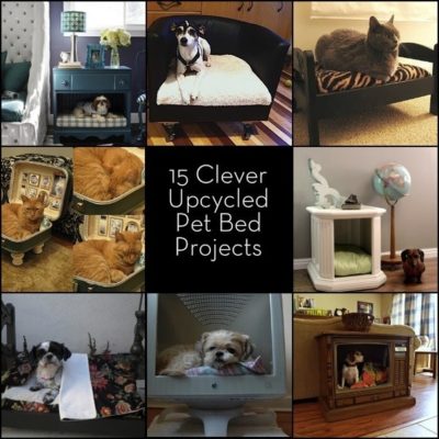 Different pet projects are being displayed.