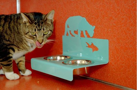 A cat bowl attached to an orange wall with a cat sitting next to it.