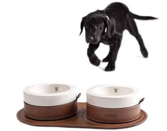 A black dog running toward dinner bowls.
