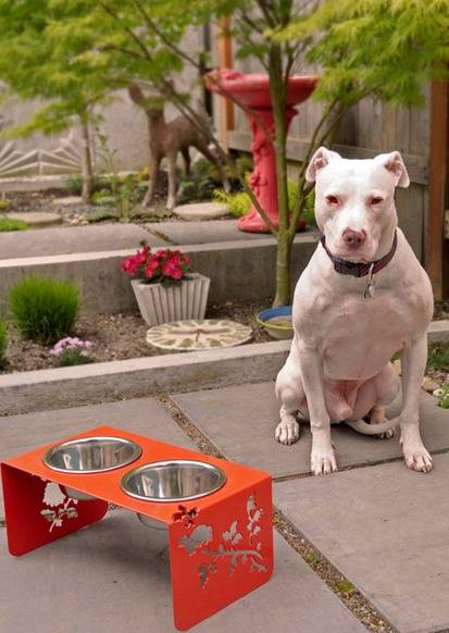 A dog sits outside behind his raised food bowls which are in a raised orange tray.