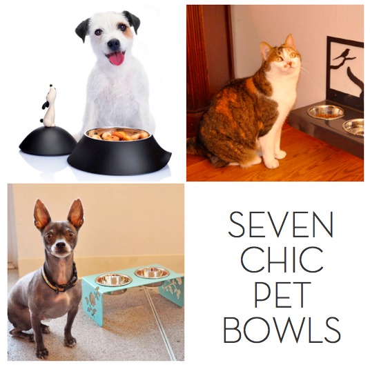 Pets are seated next to their respective pet bowls, which are at different heights and of different sizes and designs.