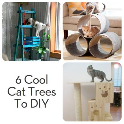 Three homemade cat trees with cats.