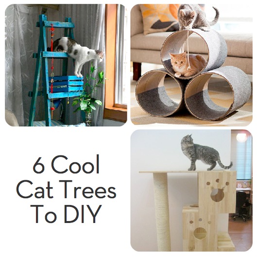 Three homemade cat trees with cats.