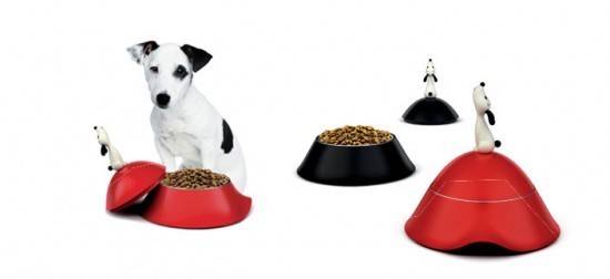 Give your pets an interesting fun bowls,happy pets.