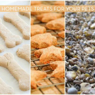 "Home Made foods for Pets"