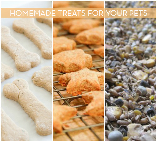 "Home Made foods for Pets"