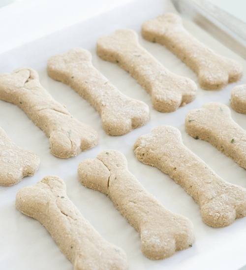 Dog biscuits are on wax paper on a jelly roll pan.