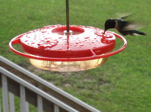 A red humming bird feeder with a bird eating out of it.
