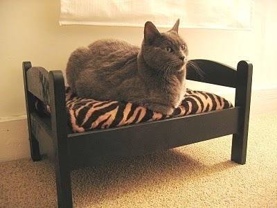 A cat sits on a piece of furniture turned cat bed.