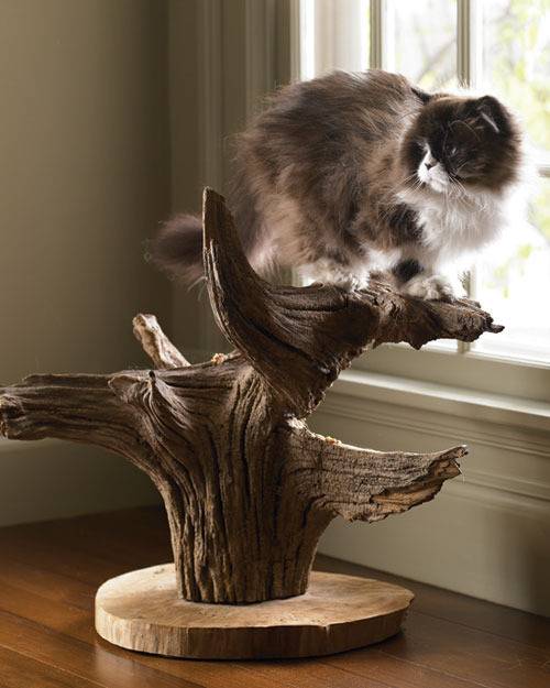 A piece of wood with a cat on top is on a shelf.