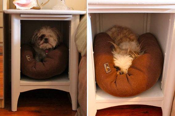 A dog in a dog bed in a nightstand.