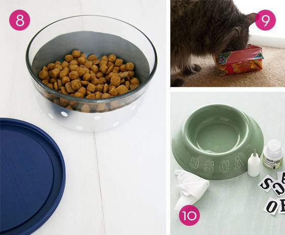 Pet food in a glass dish with a lid.