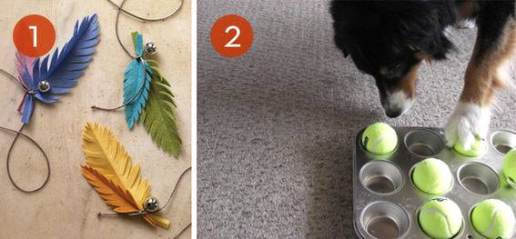 Cat toys made of feathers, bells, and cord are shown with a dog toy.