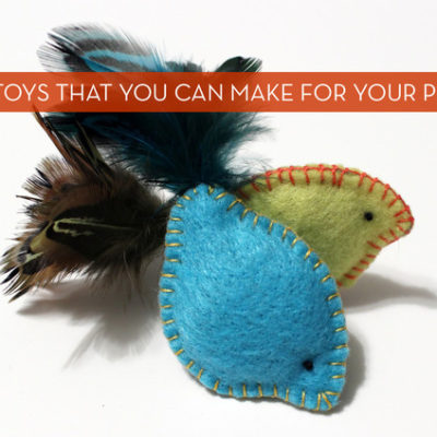 Felt cat toys have feathers at the back.