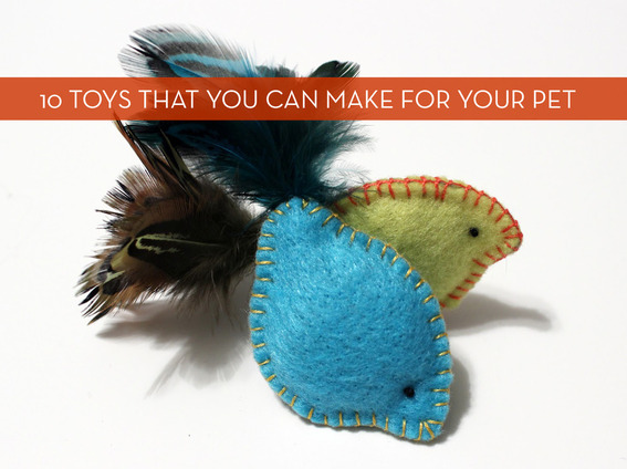 Felt cat toys have feathers at the back.