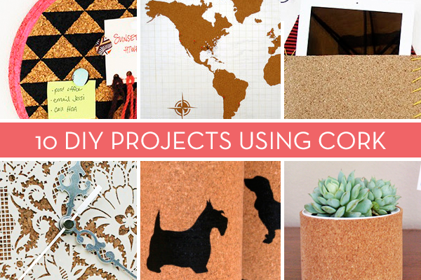 Decor pieces of various pictures such as dog, the globe and plants