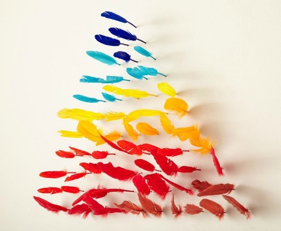 A colorful collection of feathers attached to the wall.