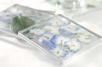 Pressed flowers are in clear glass drinking coasters.