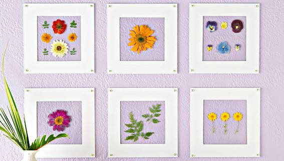 Pressed flowers are surrounded by clear plastic coverings and white frames.