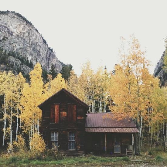 A brown wooden house situated among yellow trees and a hill in the background.
