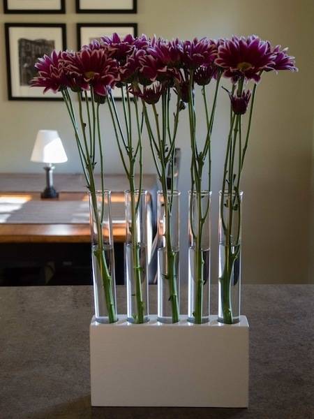 Several pink flowers are set up in a row of glass vases.