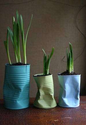 Three cans are used to hold plants.