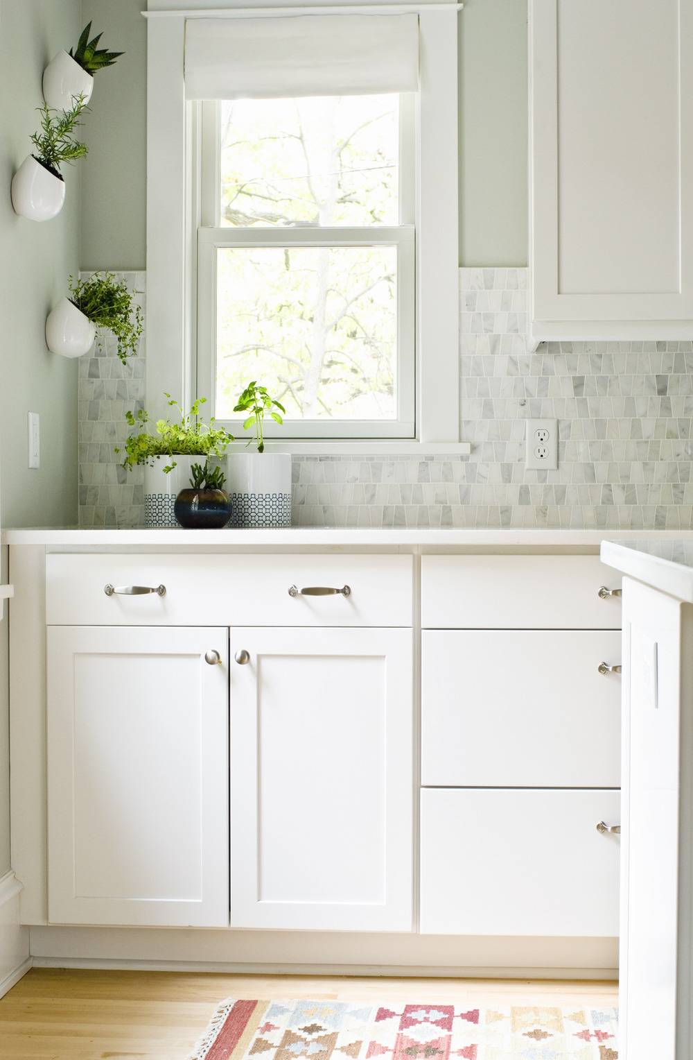 A kitchen having white cabinets and few vases near the window with green plants in them.