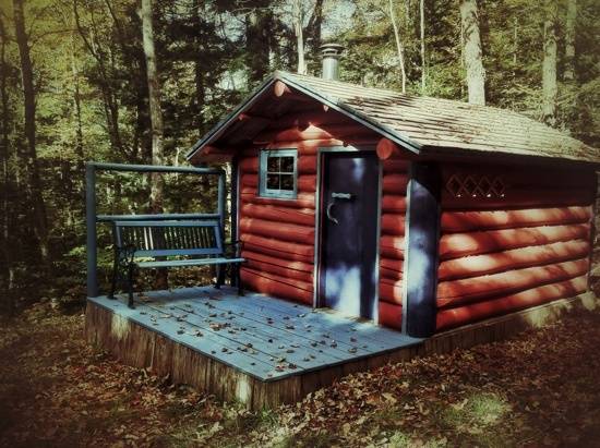 A red log cabin in the woods with a blue porch surrounded by trees