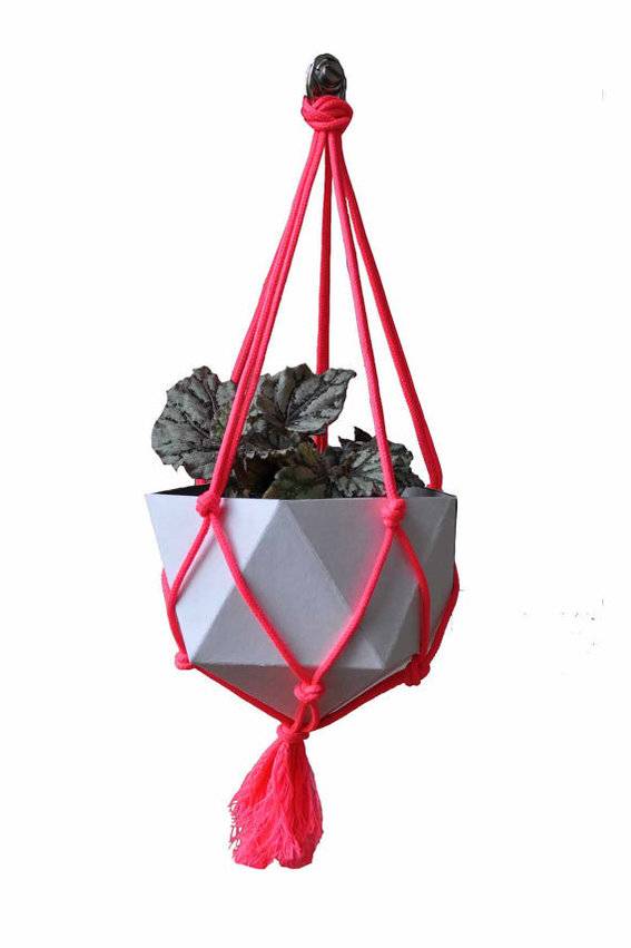 A plant pot hangs from the ceiling in a knotted rope holder.