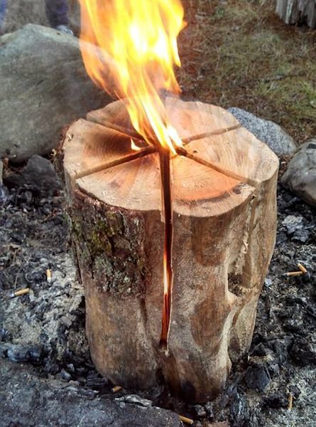 Fire burning from a log that has been split.