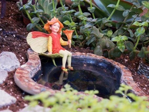"Fairy garden adventure is with angel."