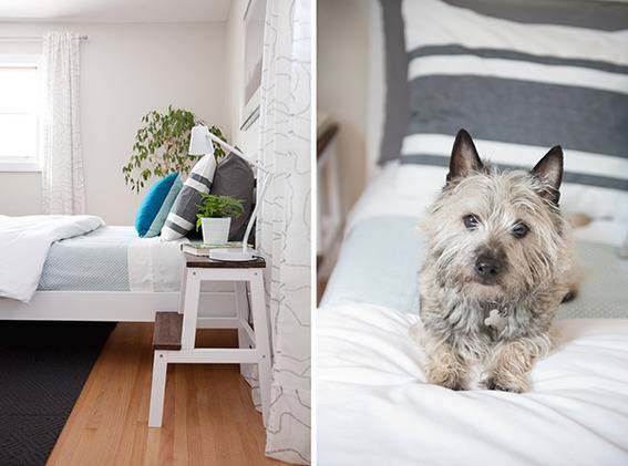 A white bed with striped pillow invites a dog to sit on it.