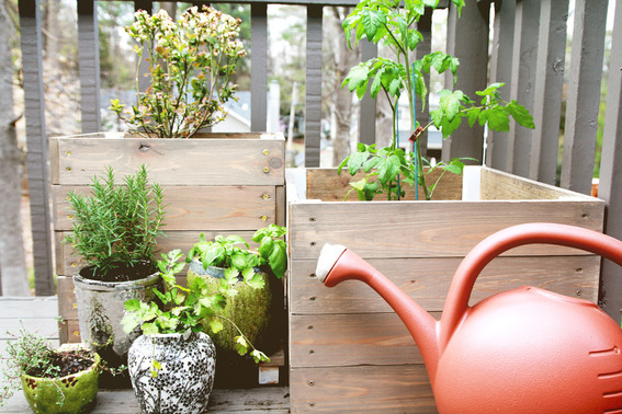 Garden Planters on Deck