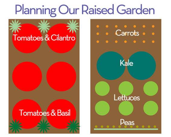 Raised Bed Garden Plans