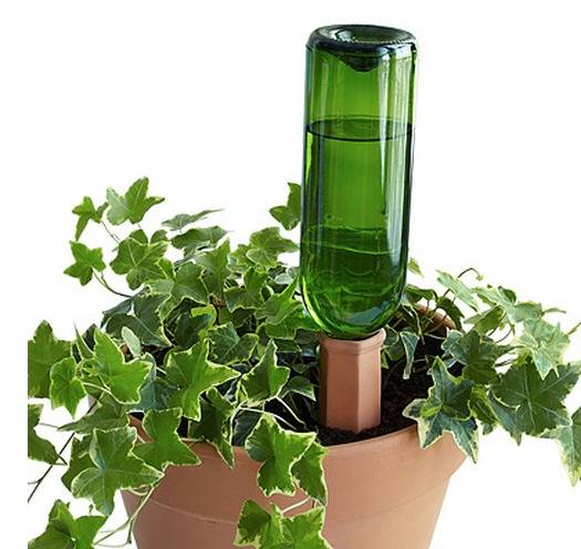 A wine bottle used as a watering device for a planter.