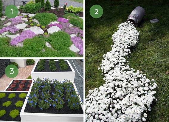 Unique garden design ideas for your home.