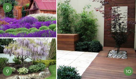 Beautiful Garden Inspiration