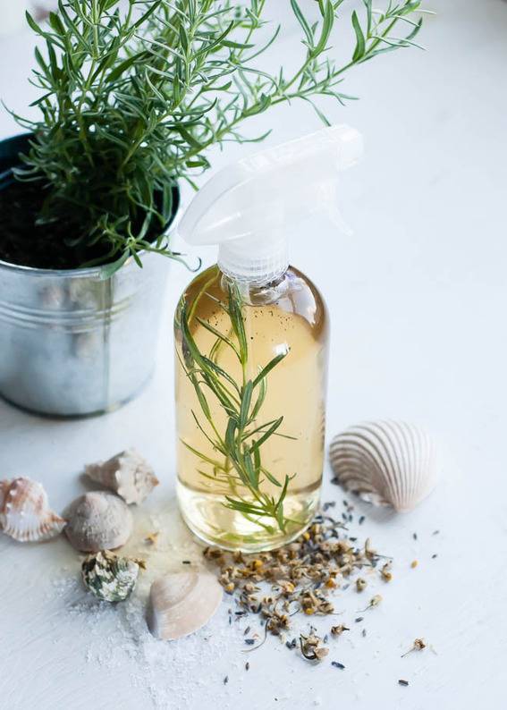 A bottle of liquid with a plant inside of it with some shells scattered around it and a potted plant behind it.