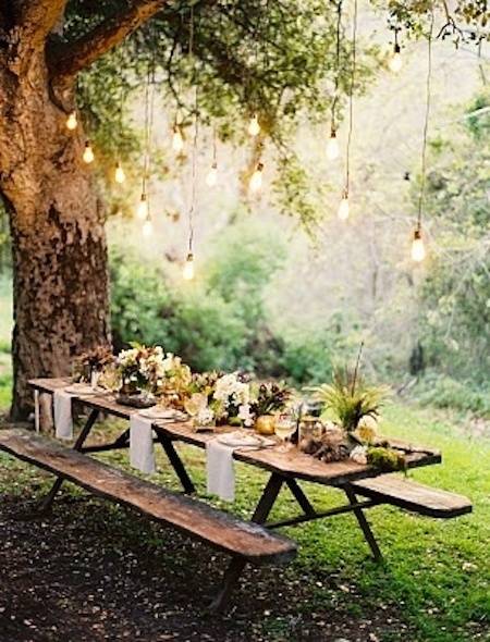 A picnic table under a tree is ready for guests.