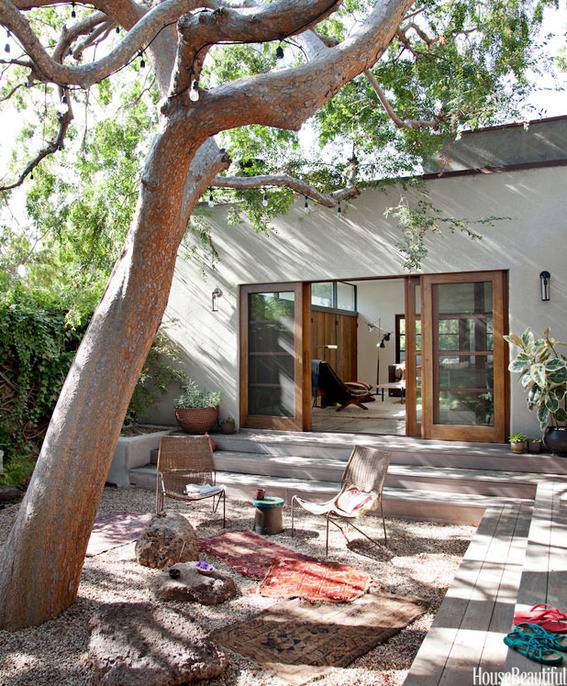 A backyard with steps and a giant tree overhanging the whole yard.