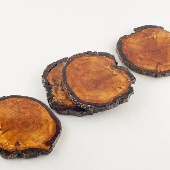 Sliced log pieces that could be used as coasters.