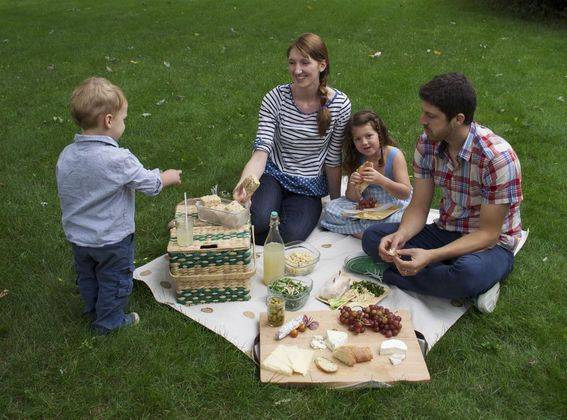 Packing the Perfect Picnic