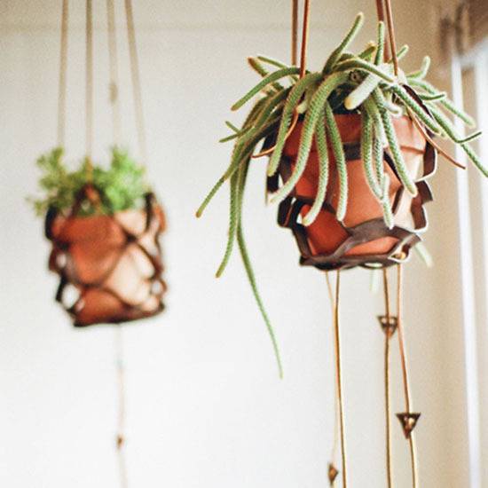 Two hanging clay potted plants.
