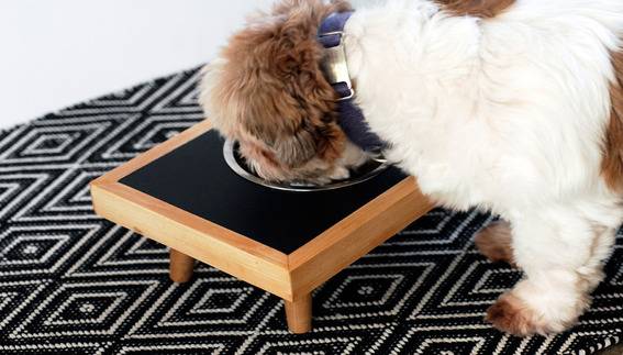 Dog eating from bowl on wooden stand on top of black and white concentric diamond rug.