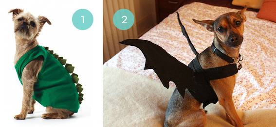 10 DIY Halloween Costumes For Your Pet
