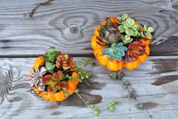 Pumpkins on a wooden table are used to hold flowers.