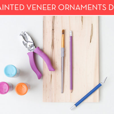 Paint bottles, brushes, plers, and venner for ornament diy.